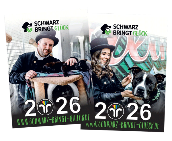 Schornsteinfeger Kalender 2026